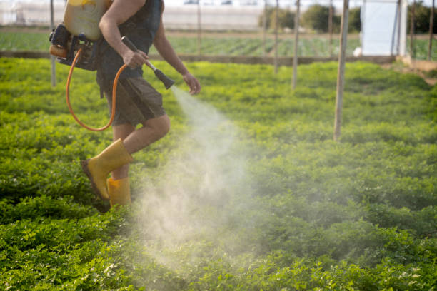 Professional Pest Control in La Cresta, CA