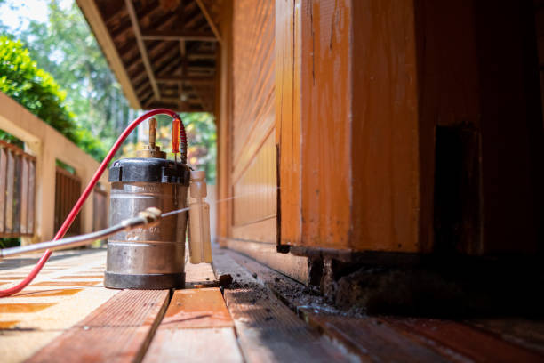 Best Pest Removal Services  in La Cresta, CA